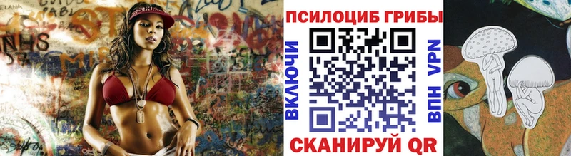 Галлюциногенные грибы Psilocybe  Химки 